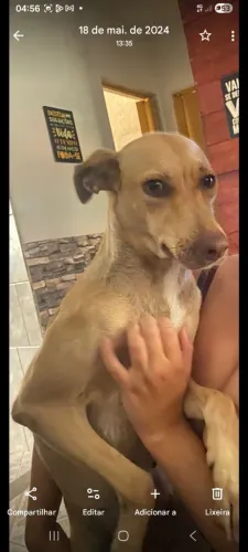 Muito carinhosa e ama crianças!