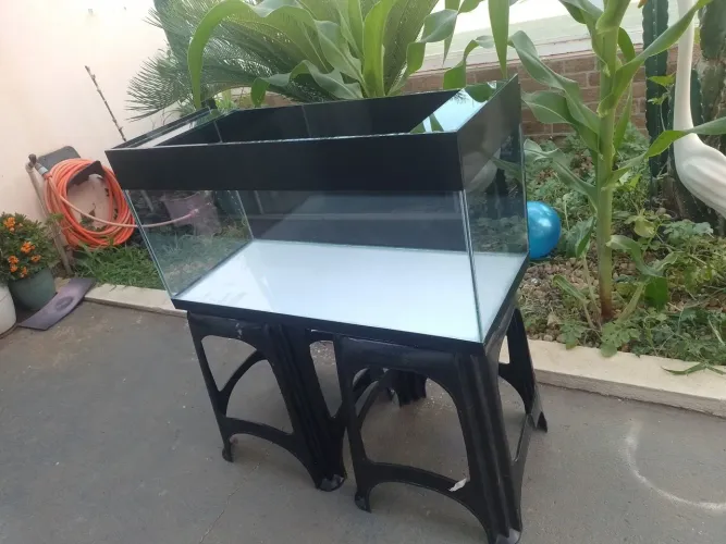 Aquário 