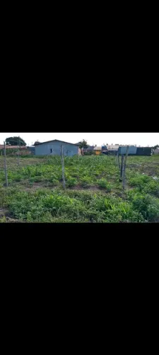 Estou vendendo um terreno na cidade de Arauá se