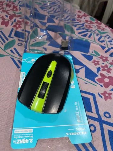 Mouse