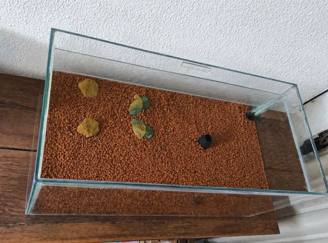 Aquário de 100L + acessórios + mesa