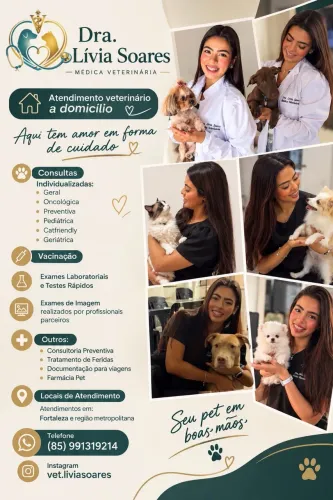 Atendimento veterinário