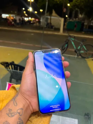 iPhone 13 Pro Max 256 pega tudo bateria e tela trocada pegar e usar