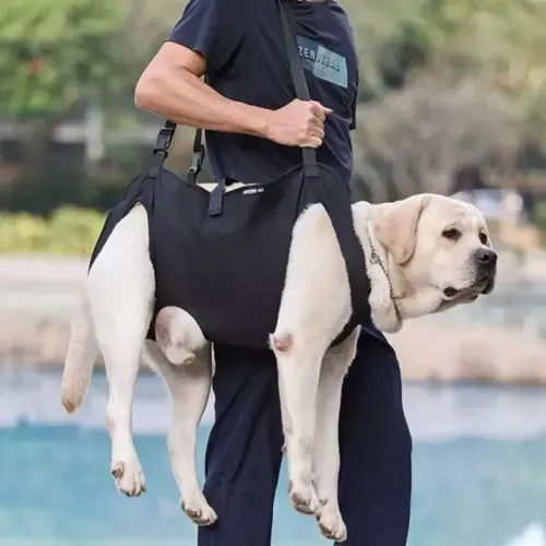 Bolsa de transporte para cachorro