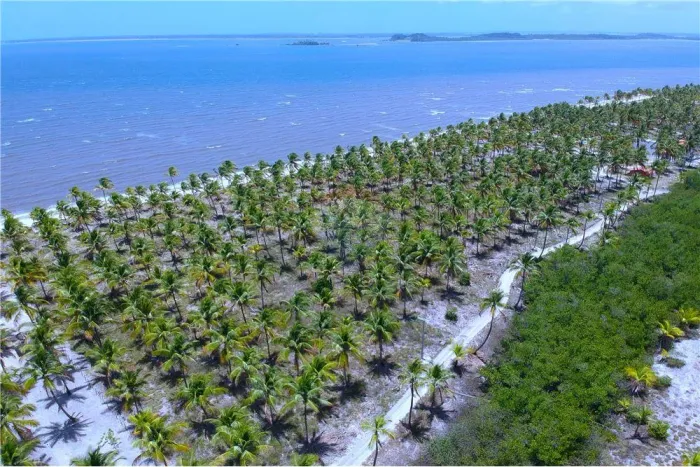 Terreno a venda com 13.500m² com 100m de frente por mar na Ilha do Contrato por R$ 3.750.0