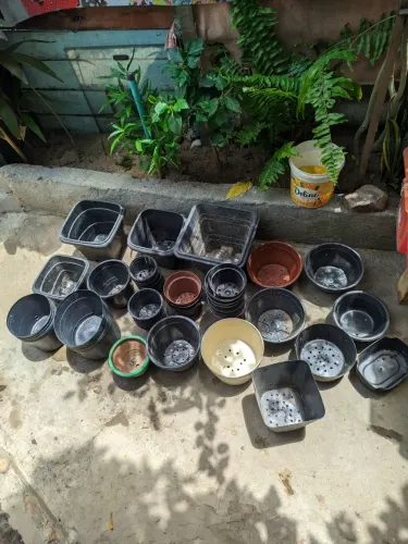 Vaso de planta