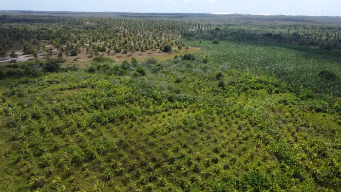 fazenda com 379 hectares na região de rio do fogo cortada por rio perene  e pela  BR  101