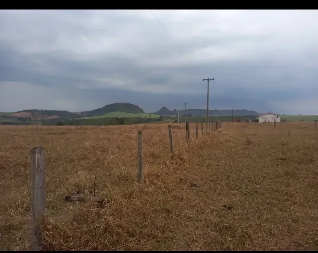 Sítio bom para café ,abacate ,grãos