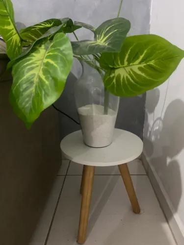 Mesa + planta