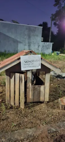 Casa de cachorro 