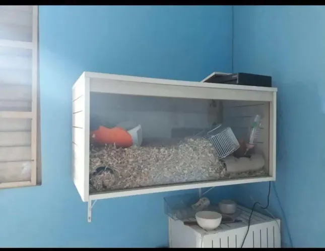 Terrário a venda