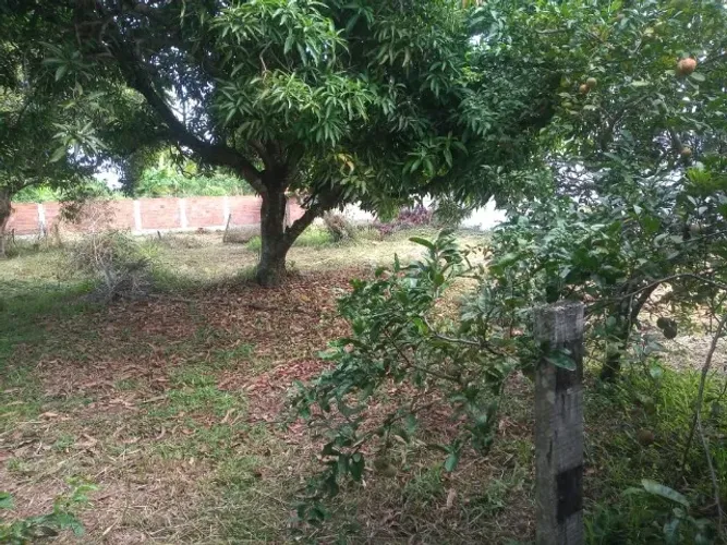 Terreno direto com proprietario