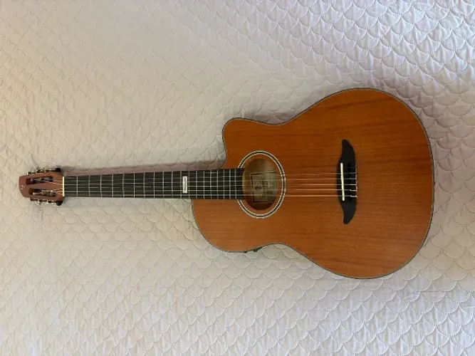 Violão Gianini Performance