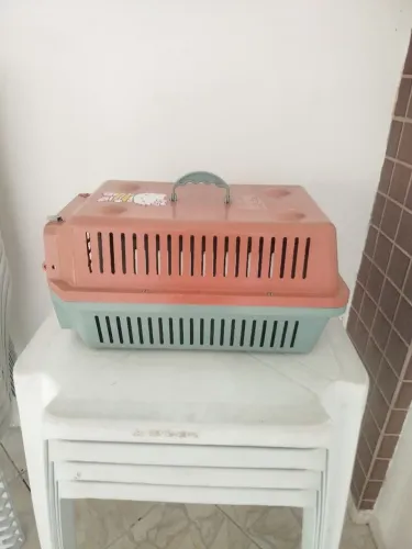 Vende-se gaiola de transportar gatos