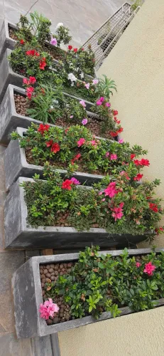 6 Lindas floreiras cimentícia plantadas