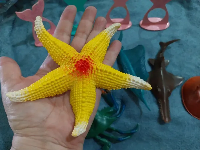 Bichos do mar para festas , eventos, colecionar...