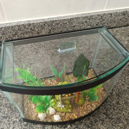 Beteira Curva Jardim Lester 3,5 Litros