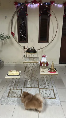 Pegue monte decoração festas