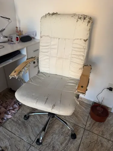 Cadeira de escritório (acolchoado rasgado)