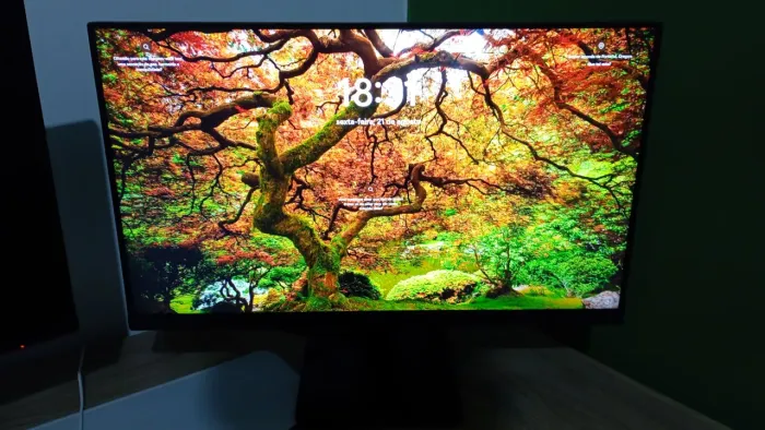 Monitor LG gamer