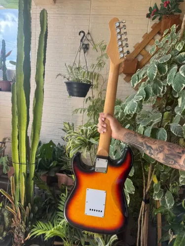 Guitarra Dolphin Zerado