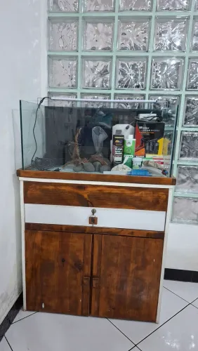 Aquário com móvel 100L