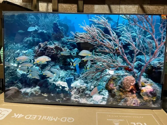 Vendo Tv TCL Qled 55 polegadas