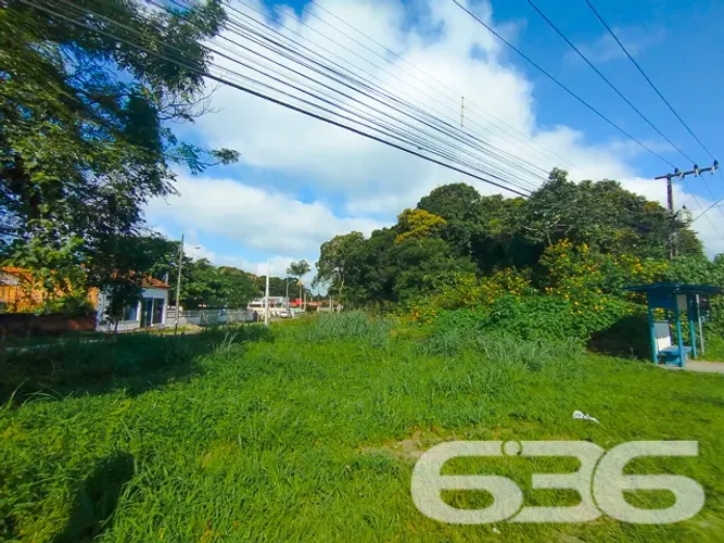 Terreno | São Francisco do Sul | Iperoba