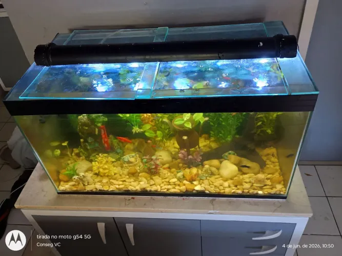 Aquário 120 litros Completo