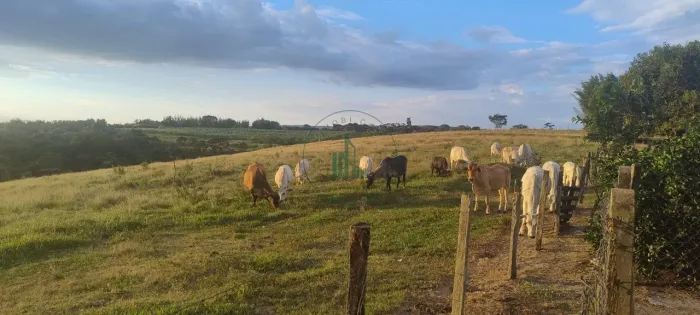 Sítio em Zona Rural Charqueadas - Charqueada