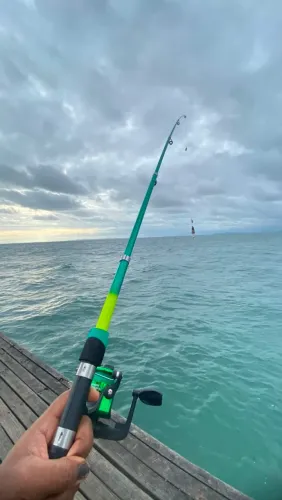 Vara de pesca completa 
