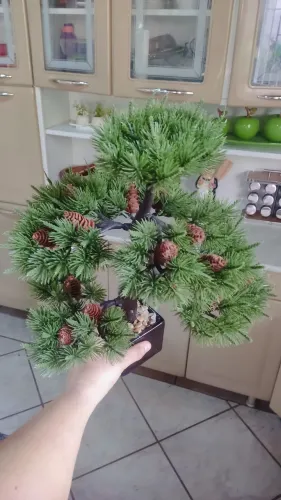 Bonsai Artificial com vaso suporte