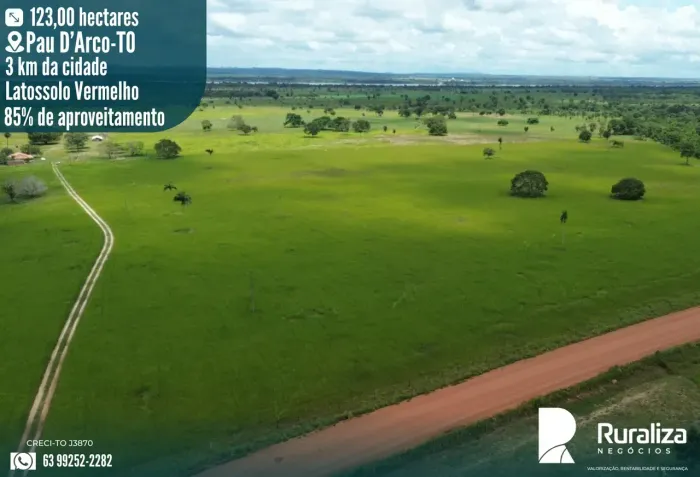 Fazenda 123 ha à Venda em Pau dArco TO | Área Plana | Região Safra e Safrinha