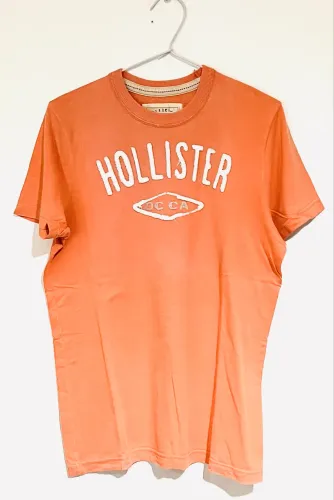 Camiseta masculina Hollister G