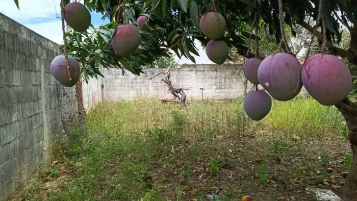 Terreno no loteamento Manu Manuela Maricá
