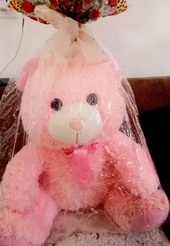 Pelúcia urso bem fofinho