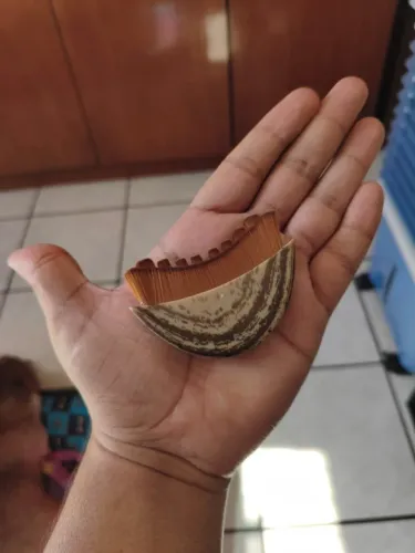 Escova Para Limpeza De Pele Facial Drenagem Linfática