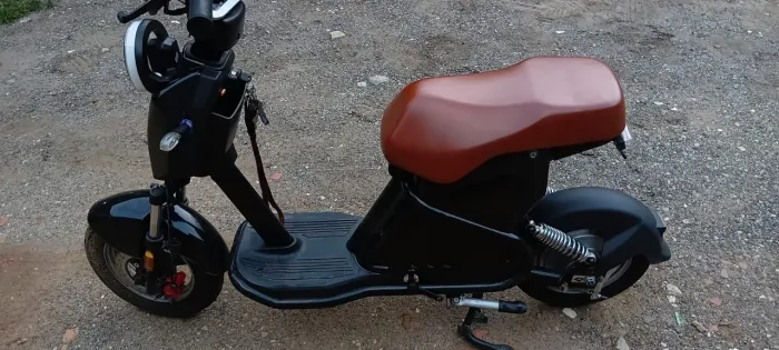 Scooter Elétrica WD2 1000W
