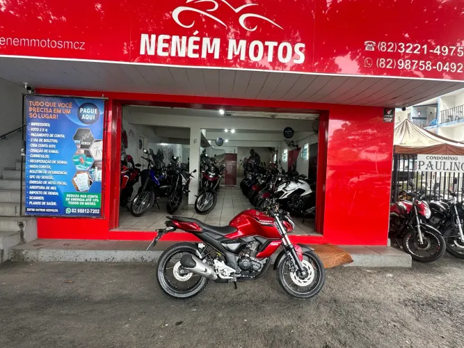 FZ 15