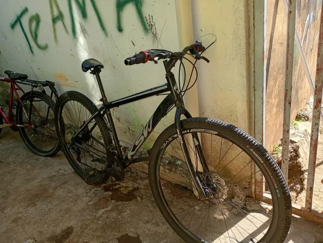 Bicicleta aro 29