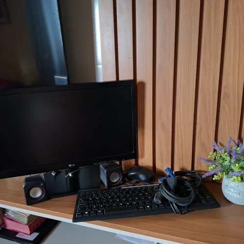 Monitor LG + teclado etc
