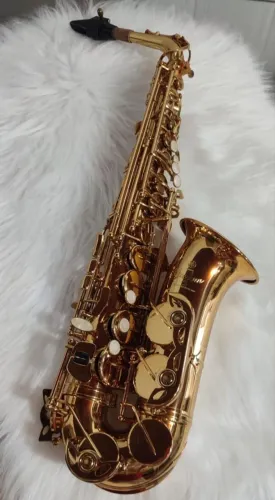 Saxofone Alto Profissional - Estilo Custom Z | Acabamento Premium