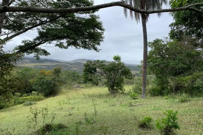 Fazenda de 122 ha, nascente de água cristalina (Temos varias opções).