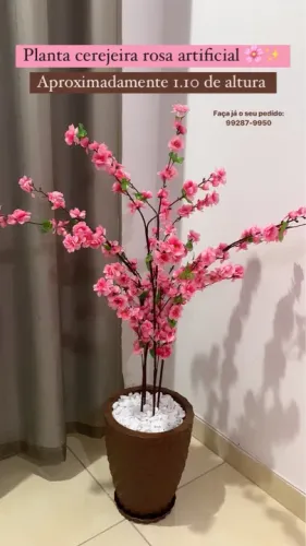 PLANTA DECORATIVA