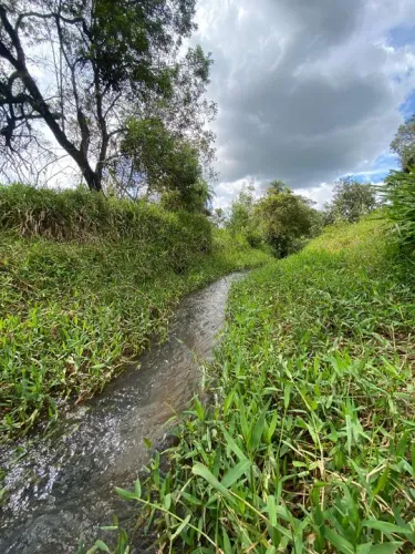 Terreno rural com riacho