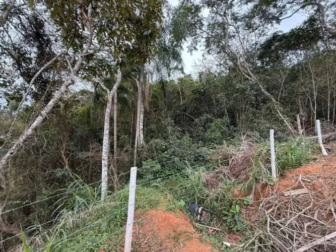 Terreno à venda, 2100 m² por R$ 280.000,00 - Santa Lidia - Penha/SC