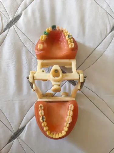 Manequim odontologico - Prodens