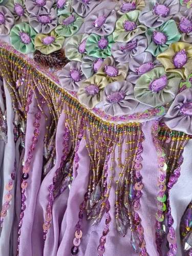 Roupa de Dança do Ventre Roxa