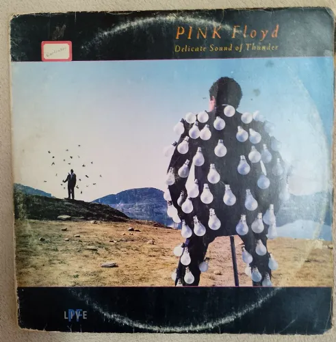 LP vinil Pink Floyd  Delicate Sound of Thunder