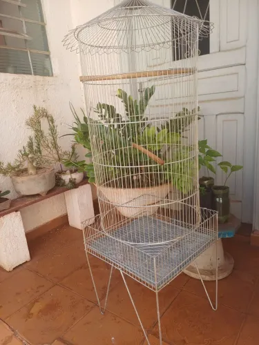 Gaiola para pássaros grande em ótimo estado malha fina tanto p/ aves grandes como peq